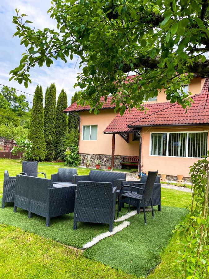 Vila Lilica Bran  Zewnętrze zdjęcie