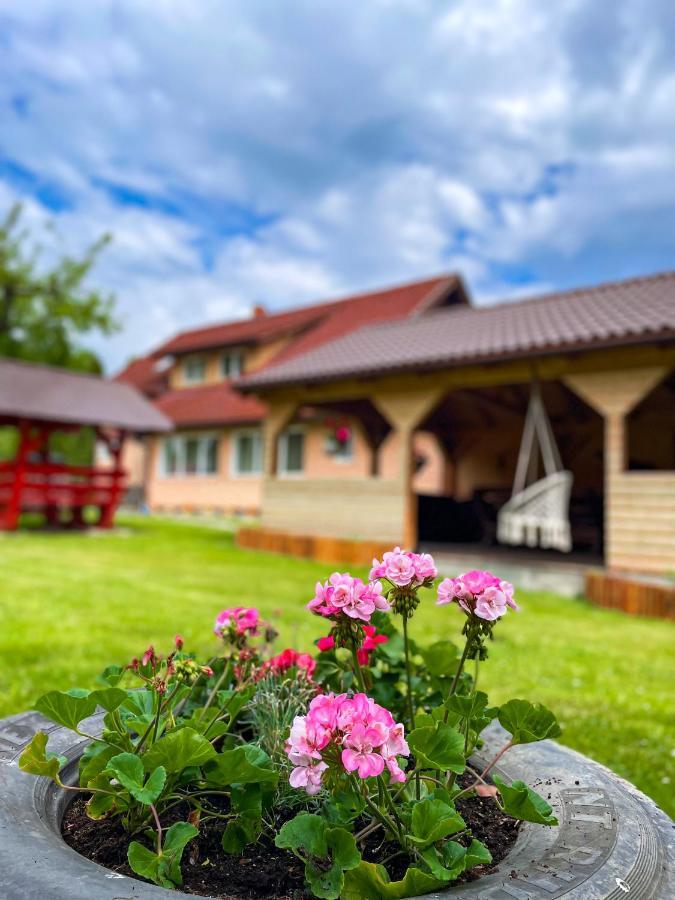 Vila Lilica Bran  Zewnętrze zdjęcie
