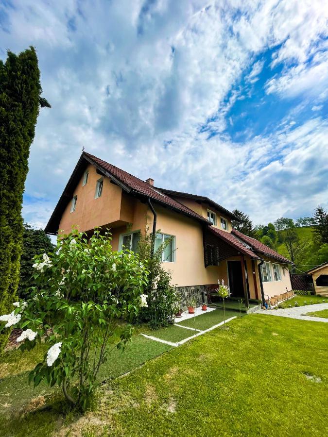 Vila Lilica Bran  Zewnętrze zdjęcie